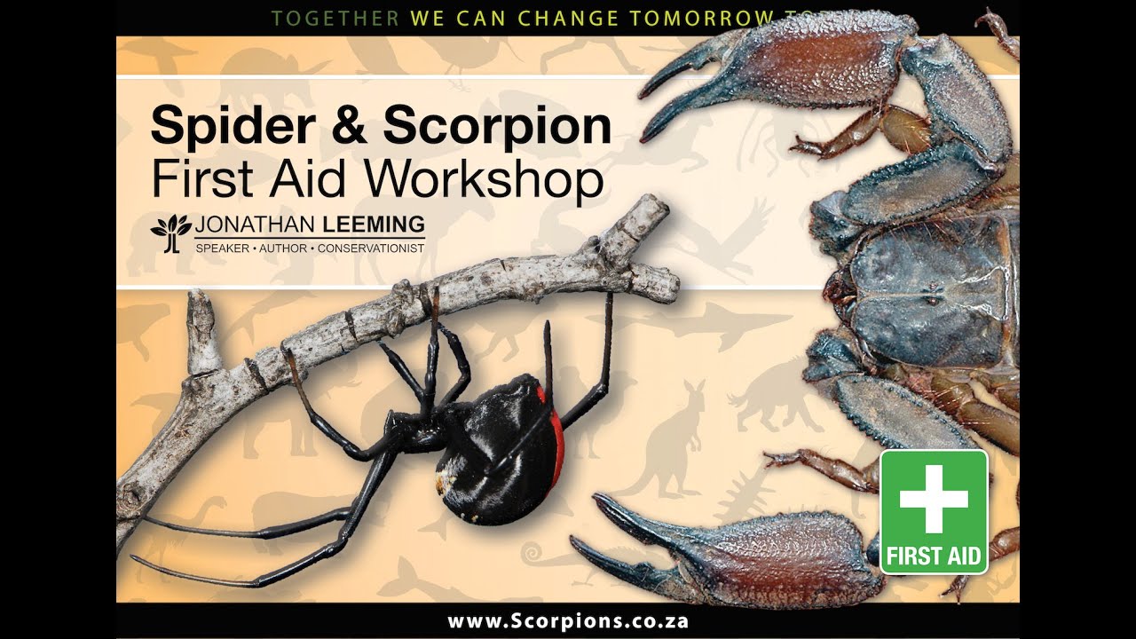 Spider & Scorpion First Aid Workshop