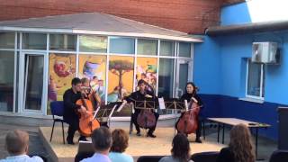 Muse - Hysteria cello cover