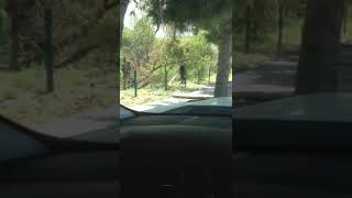 Empleado del municipio de saltillo enero 2019 ayudadando un poco a destruir el medio ambiente. 

Mar