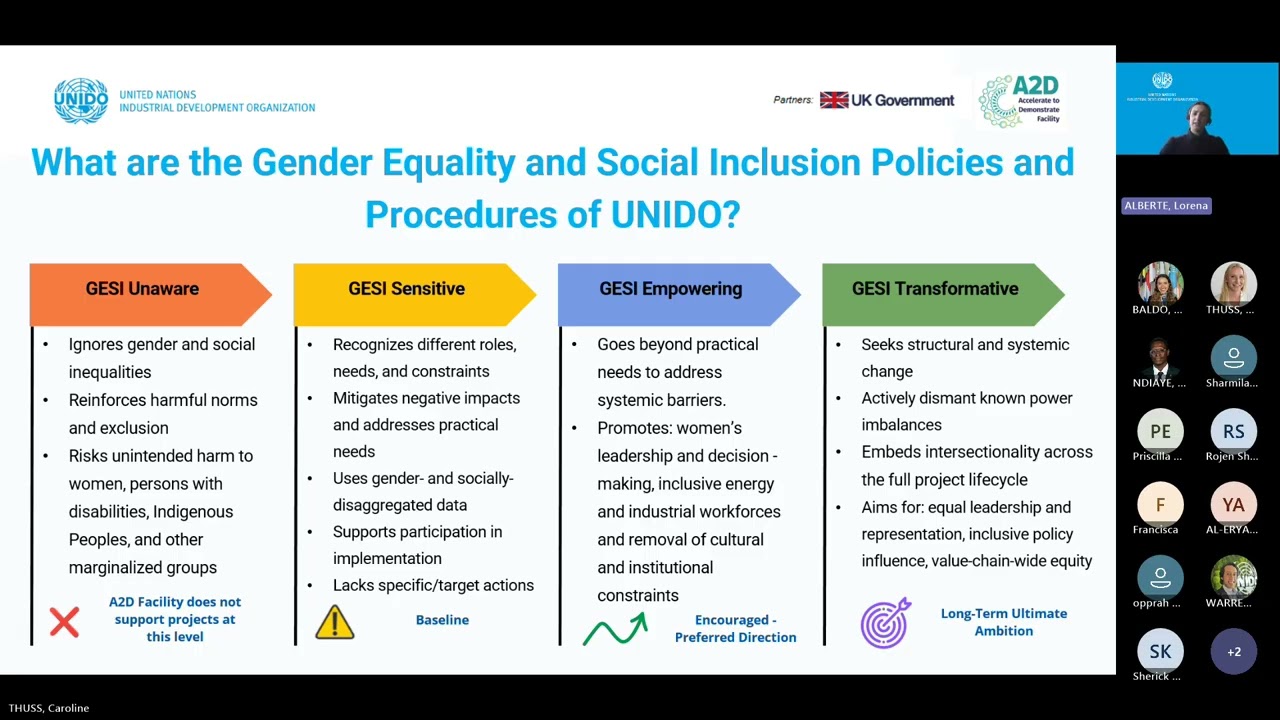 A2D webinar series: gender equality, social inclusion, environmental and social safeguards