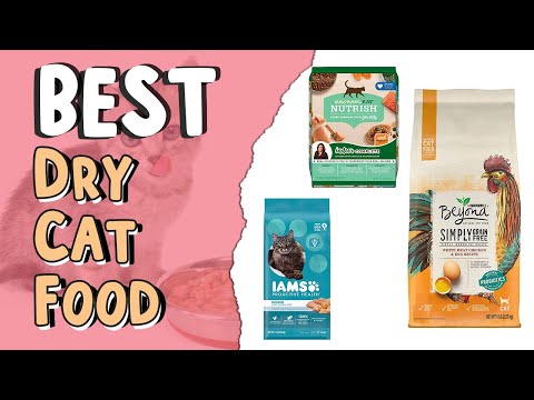 Top 5 Best Dry Cat Food | ‎Tips for Choosing Cat Food | Best Dry Cat Food for Healthy Coat,