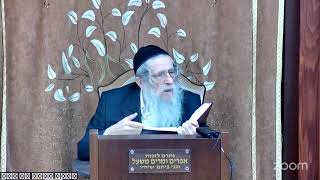 הרה"ג הרב וועכטר שליט"א א' טבת תשפ"ה - מאמר הרבי ד"ה תנו רבנון מצות נר חנוכה תשל"ח (הרב אברהם מנחם מענדל וכטר) - התמונה מוצגת ישירות מתוך אתר האינטרנט יוטיוב. זכויות היוצרים בתמונה שייכות ליוצרה. קישור קרדיט למקור התוכן נמצא בתוך דף הסרטון