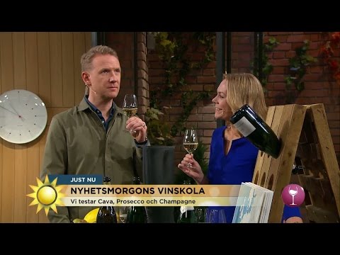 Så smakar Cava, Prosecco och Champagne - Nyhetsmorgon (TV4)