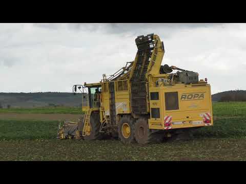 Rübenzeit ist da es geht rund auf dem Acker und bei den Zuckerfabriken im ganzen Land es kommen