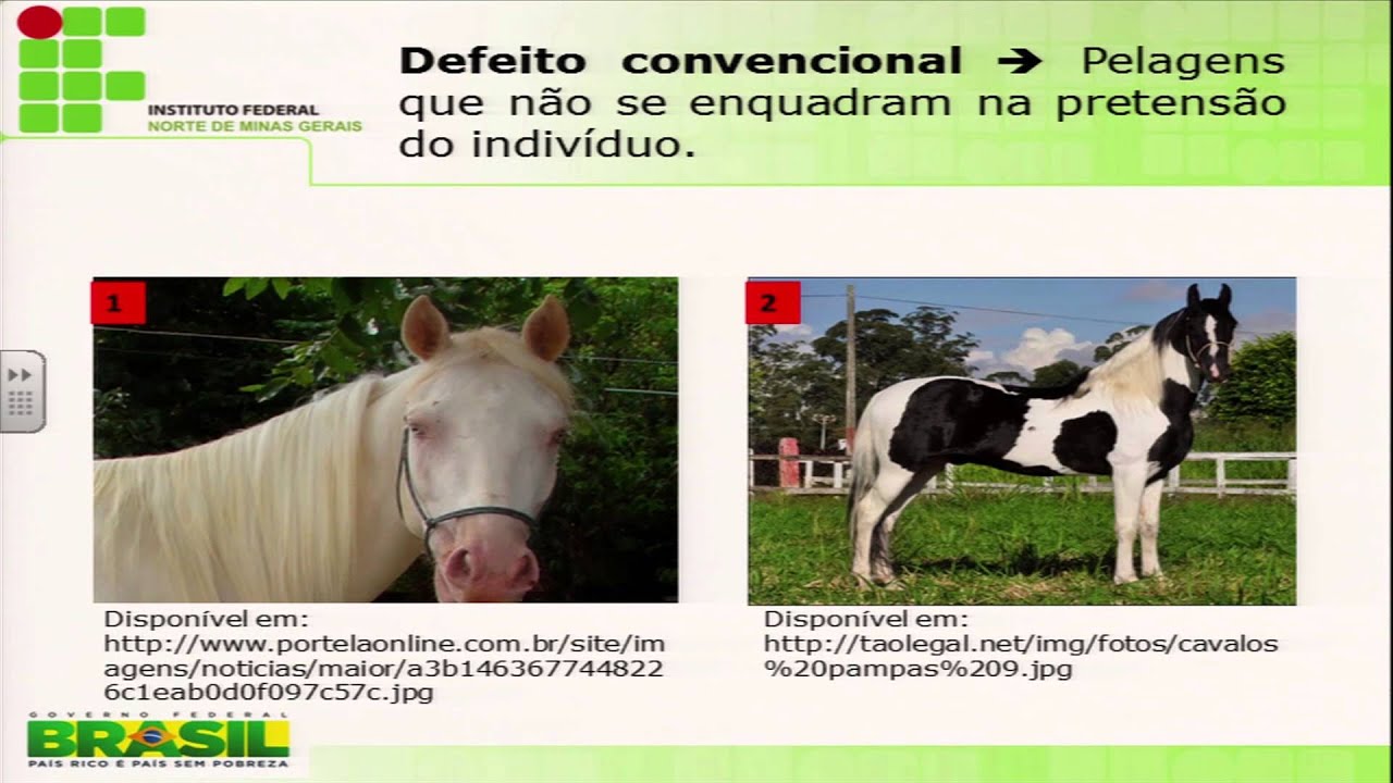 AULA 1 - ZOOTECNIA GERAL