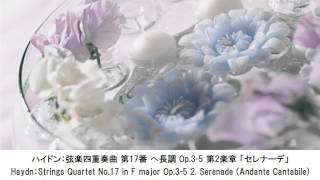 愛が深まるクラシック名曲集・Love deepens Classical Music Collection（長時間作業用BGM)