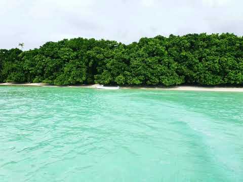 Kana fela'aki e sa ki tafa ♡