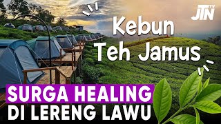 Download lagu Surga Healing di Lereng Lawu! Kebun Teh Jamus Ngawi Bisa Glamping Mewah mp3 Download lagu Surga Healing di Lereng Lawu! Kebun Teh Jamus Ngawi Bisa Glamping Mewah mp3
