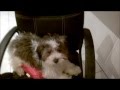 Little Einstein
