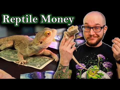 Quit Your Job and Get Rich Working With Reptiles RIGHT NOW!