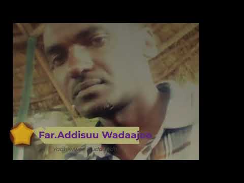 Yaahiwwee Guddaa dha lakkoofsa #2 Bara 1995 E.c