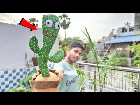 Playing with talking cactus 🌵 Unboxing and Review of Cactus toys