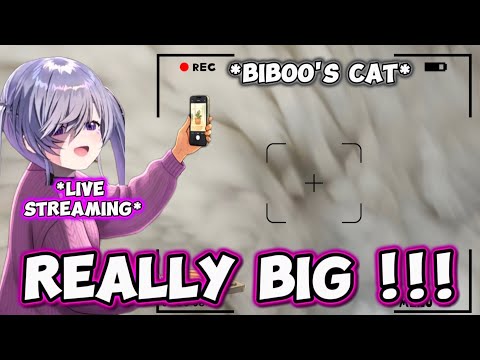 Biboo Takes a Photo of Her Sleeping Cat while She's Streaming. Almost 1 Year Old ! [ Hololive EN ]