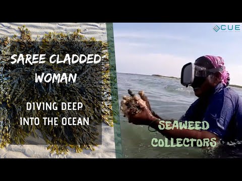 PANNA MAJUMDAR portfolio video4