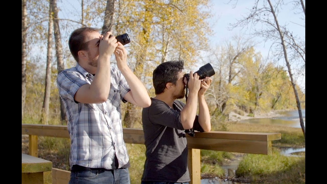 Объектив Olympus M.Zuiko Digital ED 40-150mm f/2.8 PRO