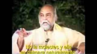 preview picture of video 'Bhagavan & Mind (Subtitulos Mente).mov'