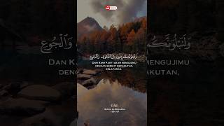 Download lagu Surah Al-Baqarah 155-157 #tadabburquran #murottal #alquran #tadarusbersama #albaqarah mp3 Download lagu Surah Al-Baqarah 155-157 #tadabburquran #murottal #alquran #tadarusbersama #albaqarah mp3