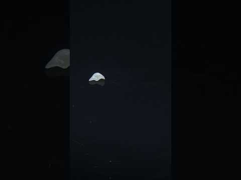 YouTube 썸네일
