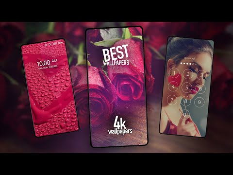 Valentine wallpapers Video