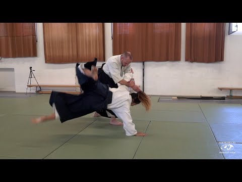 Aikido: Stephane Goffin - Balaton18