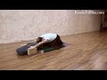 Everything About Adho Mukha Virasana with David Meloni (Iyengar Yoga)