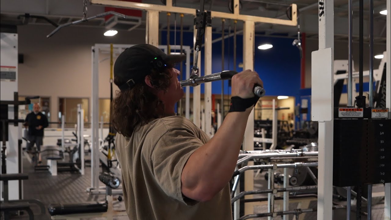 The Bulk Day 69 - Back Is Back