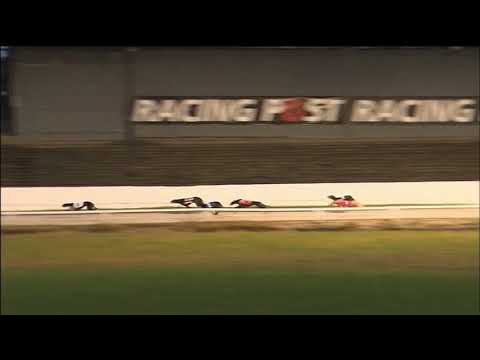 2018 RPGTV 500 - HEAT 3 - T6 GAZILLY SHAY