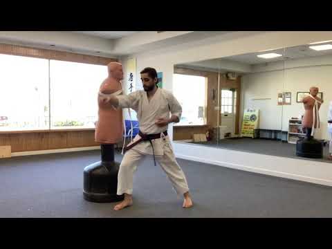 Target Striking with Limb Control