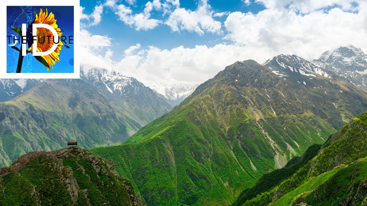 How Evolutionary Fitness Landscapes Bolster Design Arguments