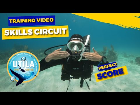 Skills Circuit - PADI Divemaster & Instructor Skills - Neutrally Buoyant - Training Video
