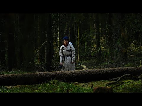 Exploring The Veluwe  Part 1 | Sony A7S III | Cinematic 4K