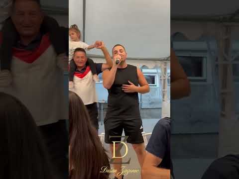 DUŠAN ZAGORAC - PTICO MOJA BELI LABUDE I (UŽIVO) #cover #narodnamuzika #uživo #wedding #music