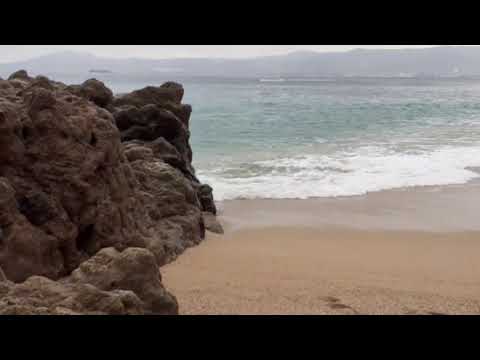 جولة استرخاء على الشاطئ