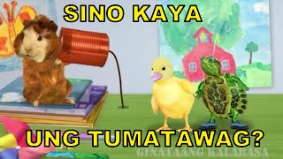 Download lagu Wonder pets tagalog (Sa Telepono May tumatawag) mp3