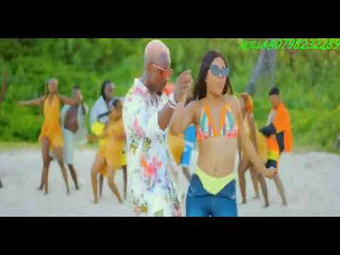 dj fine bongo flava vol 3(number one)mixxtape intro xvid 001