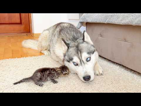 YouTube 썸네일