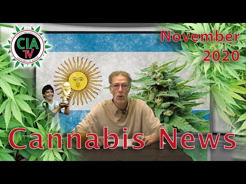 CannaNews November 2020 - Mazedonien, Argentinien, Mexico, EU, München, Schweiz, Österreich