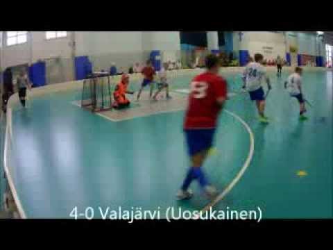 Maalikooste Tiikerit vs ÅIF 25/1/14