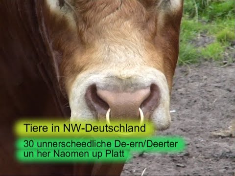 30 De-ern of Derter un her Naomen upp Platt. Ein Video von KLAUS TAUX