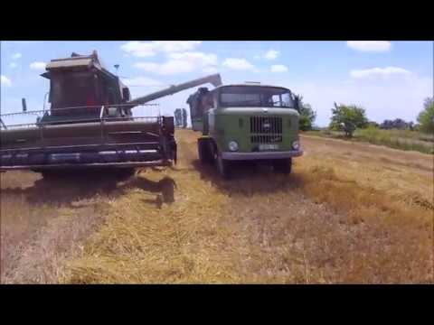 Fortschritt E516-B & IFA W50LA /Wheat /búza aratás/harvesting/ Weizenernte/ 2018