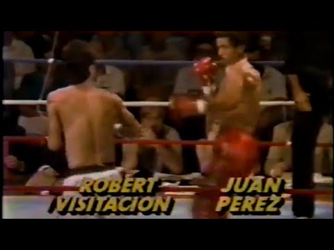 Robert Visitacion Vs. Juan Perez (1985)