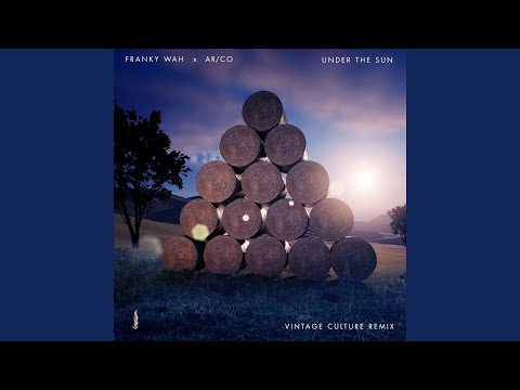 Under The Sun (Vintage Culture Extended Remix)