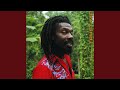 Jah Pretty Face (Niahbingi Mix)