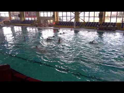 Ukraine - Slovakia 11-5 // Carpathians Cup 2014 // 22.03.2014 // Dembica, Poland // waterpolo