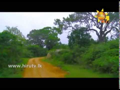 Hiru TV