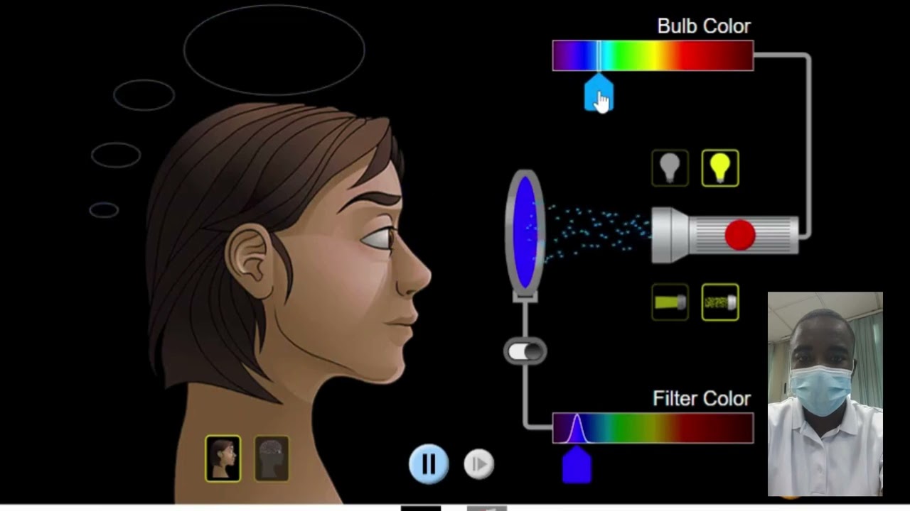 Color Vision Simulation | Science Experiment | Virtual Lab Simulation