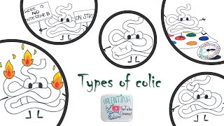 Thumbnail for Types of colic in horses - Vet students video