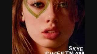 Skye Sweetnam-I Don&#39;t Really Like You W/ Lyrics