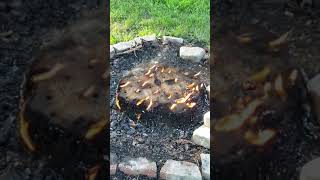 How to get rid of a stump!!!! Burning Candles Tree Stump