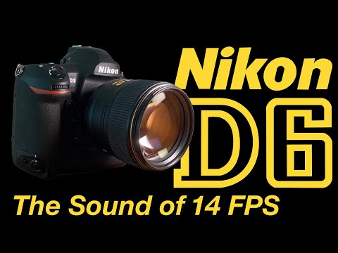 Nikon D6 14 FPS Shutter Sounds